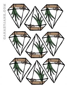 CIY SHRINKY DINK PINS