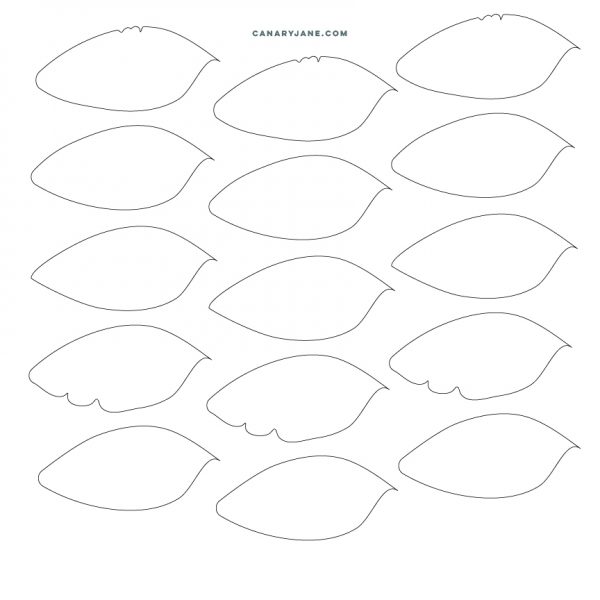 flower petal gender reveal01 Canary Jane