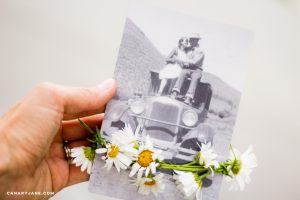 geneology