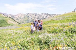 albion basin