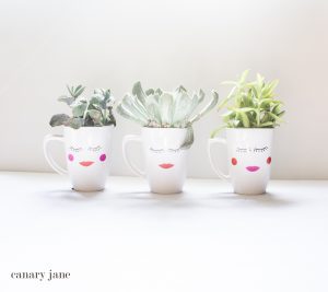 FACE VASE DIY