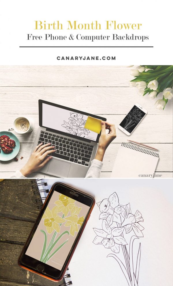 July Larkspur Birth Flower Background & Coloring Page – Canary Jane